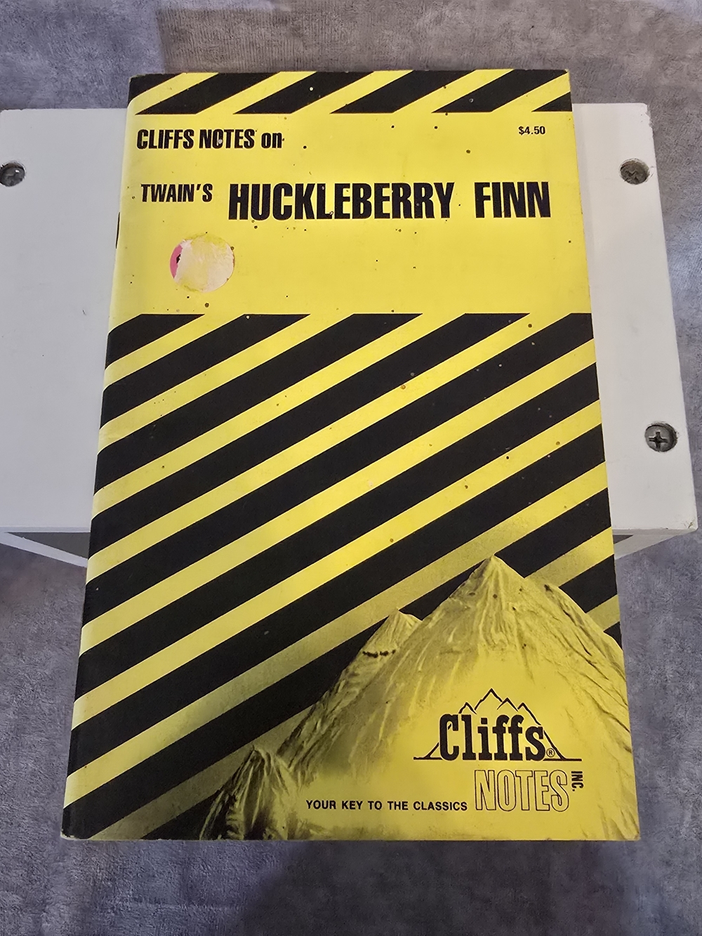 Huckleberry‎ Finn Study Guide - Yellow & Black
